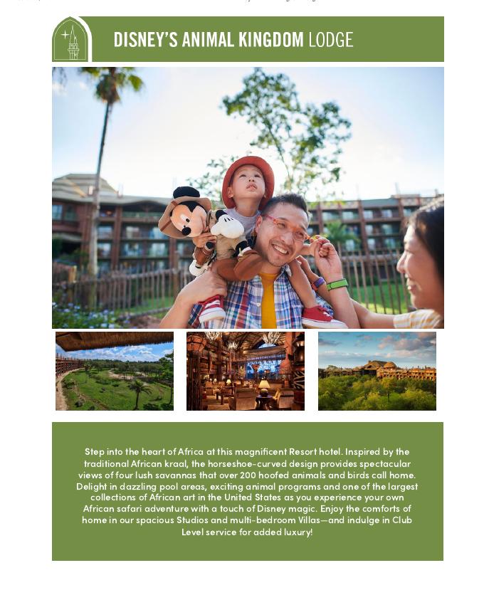 Disney's Animal Kingdom Lodge brochure cover